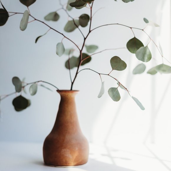 Meet your Posher, Jalyn - Picture 4 of 8